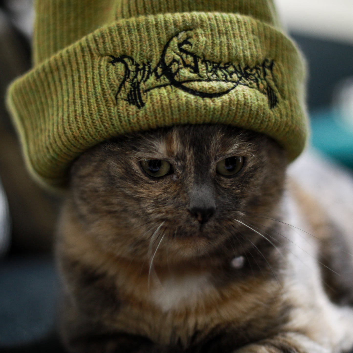 Blood Moon Beanie